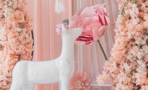 为我们选定好的方案